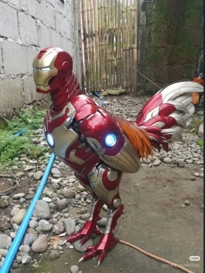 자비스, 치킨집 좀 알려줘._1.jpg