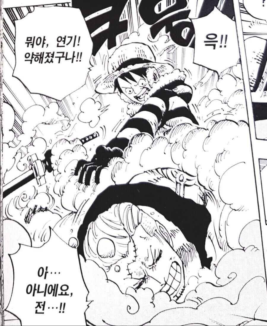 원피스 무장색 패기 관련 자주 오해하는 설정_2.jpg