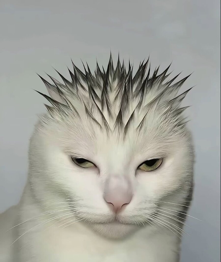 학교 다닐 때 졸라 독한 선생님 머리.jpg_1.jpg