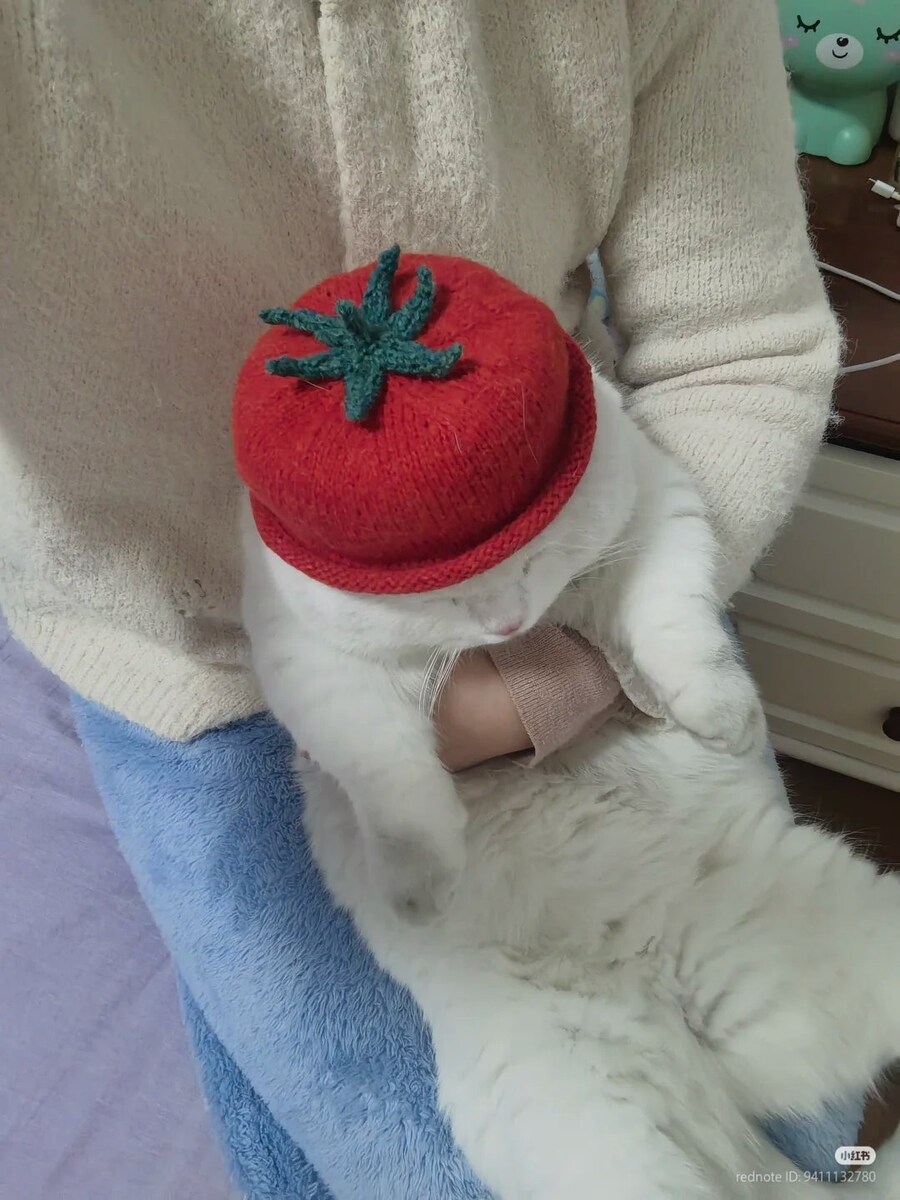 고양이: 나는 토마토가 싫어_1.jpg