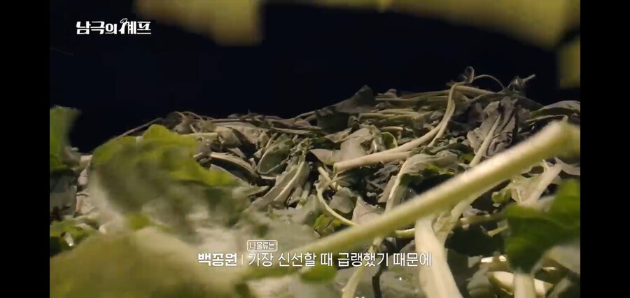 남극의 약탈자들이 냉동으로 첫메뉴를 장식한 이유_5.jpg