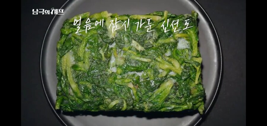 남극의 약탈자들이 냉동으로 첫메뉴를 장식한 이유_6.jpg