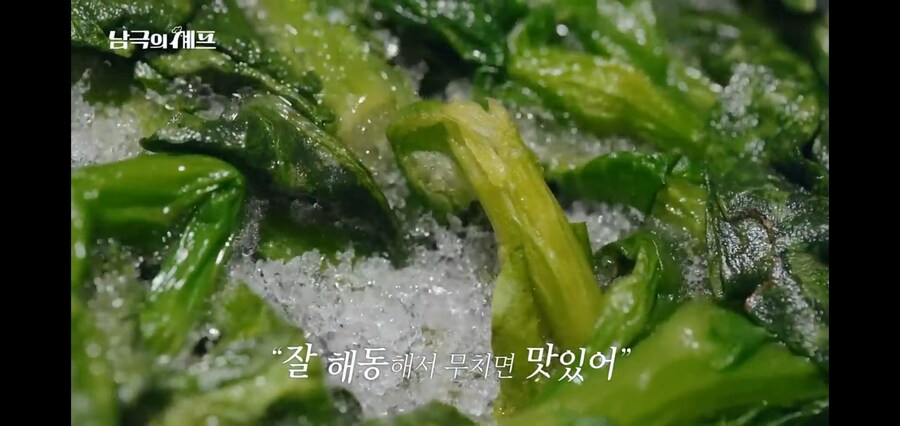 남극의 약탈자들이 냉동으로 첫메뉴를 장식한 이유_7.jpg