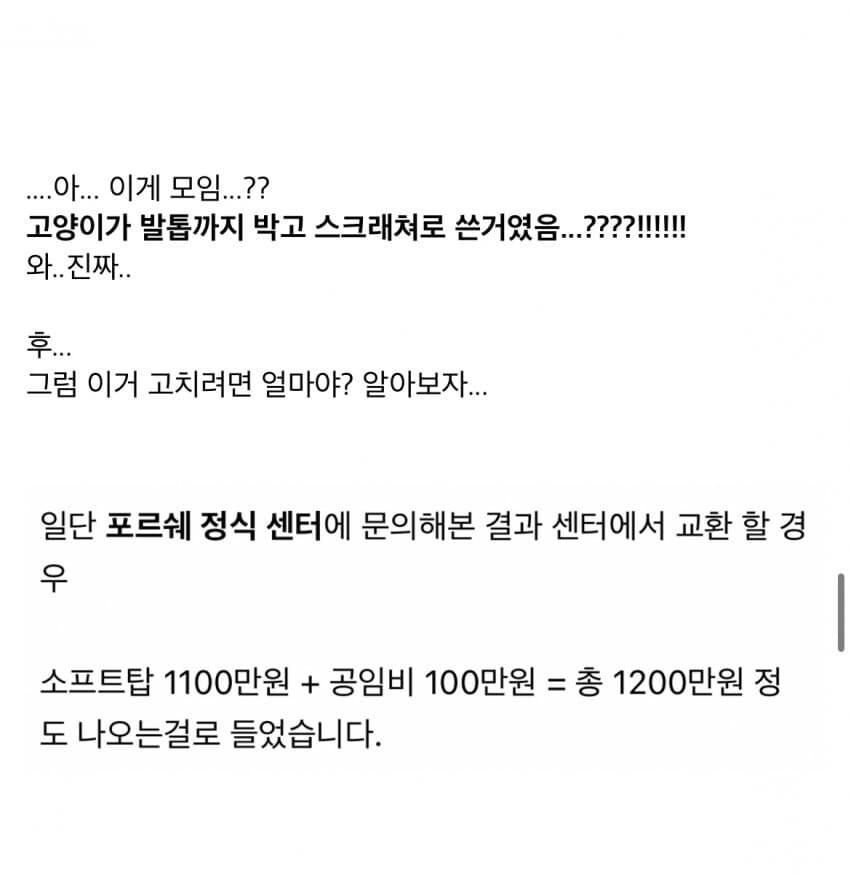 고양이 정액때문에 1200만원 날린 차주_5.jpg