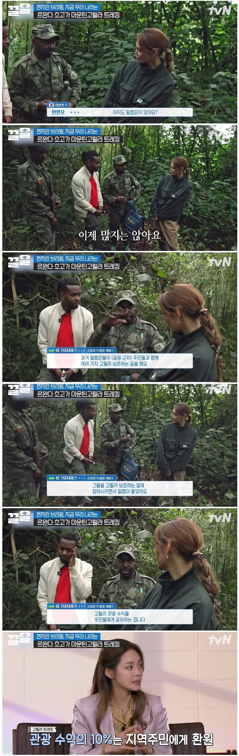 아프리카에서 고릴라 밀렵꾼이 갑자기 사라지기 시작한 이유_1.jpg