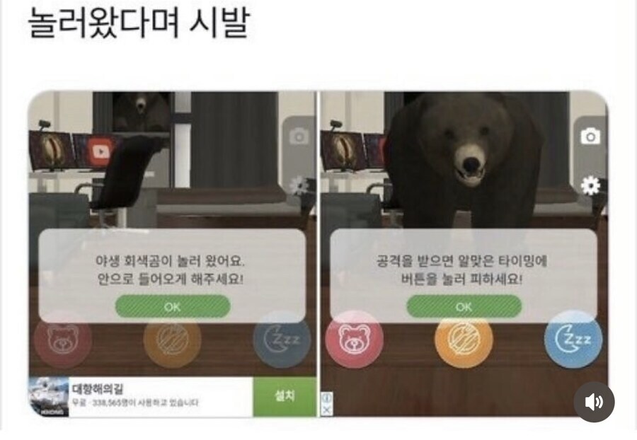 야생 회색곰이 놀러 왔어요_1.jpg