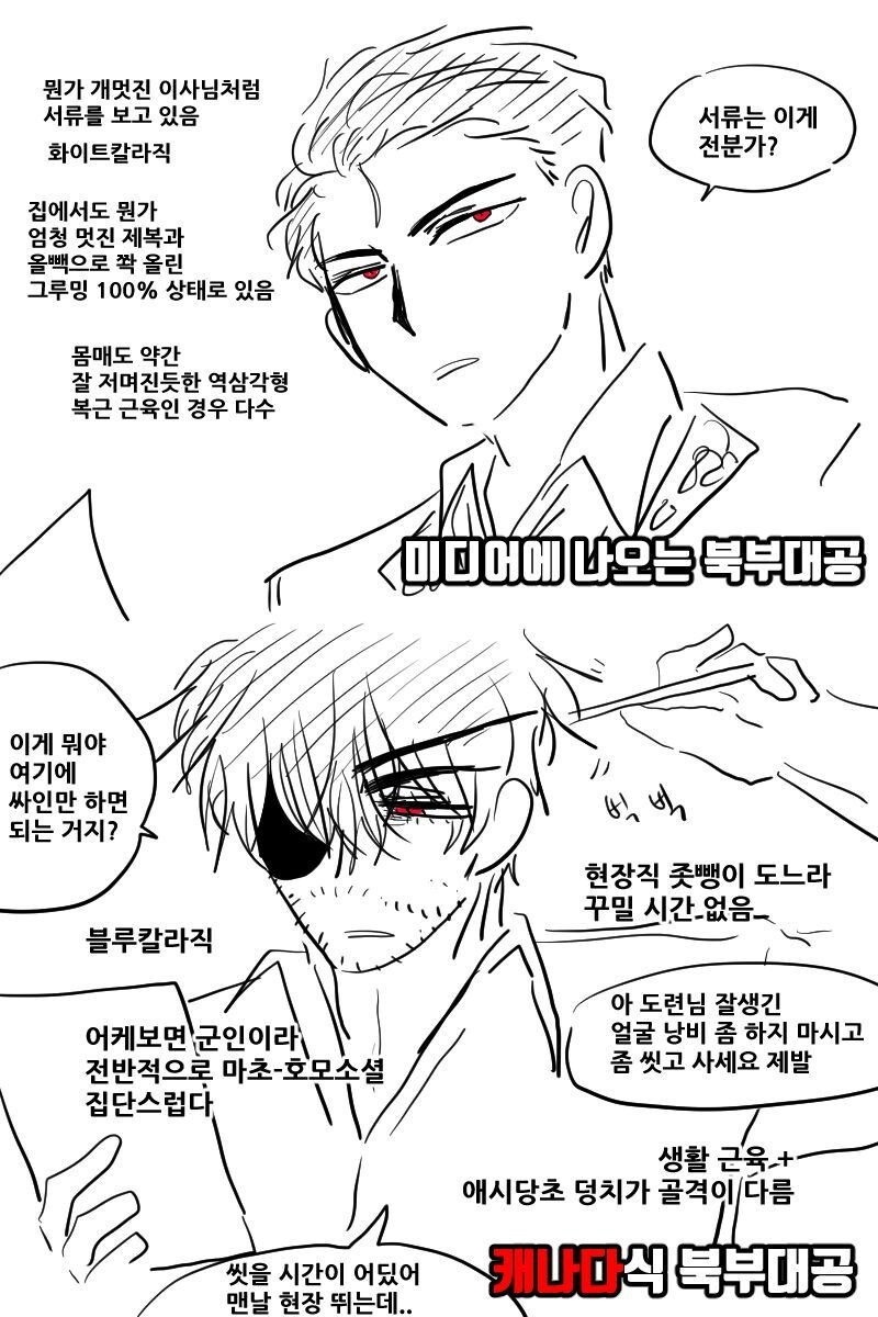 미디어에 나오는 북부대공과 캐나다식 북부대공의 차이_2.jpg