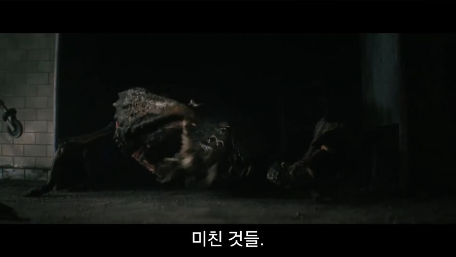 메인 디렉터 취향이 잔뜩 들어간 야.동 시즌2 떳냐?_1.jpg