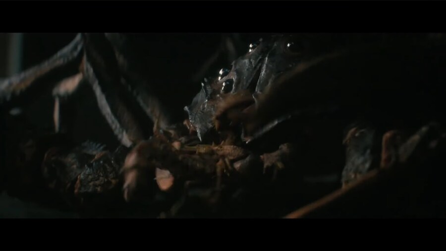 메인 디렉터 취향이 잔뜩 들어간 야.동 시즌2 떳냐?_2.jpg