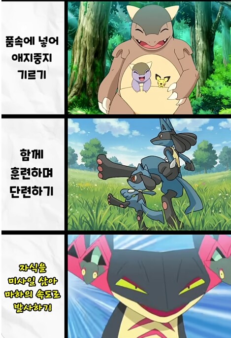 모든 포켓몬에겐 모성애가 존재한다._1.png