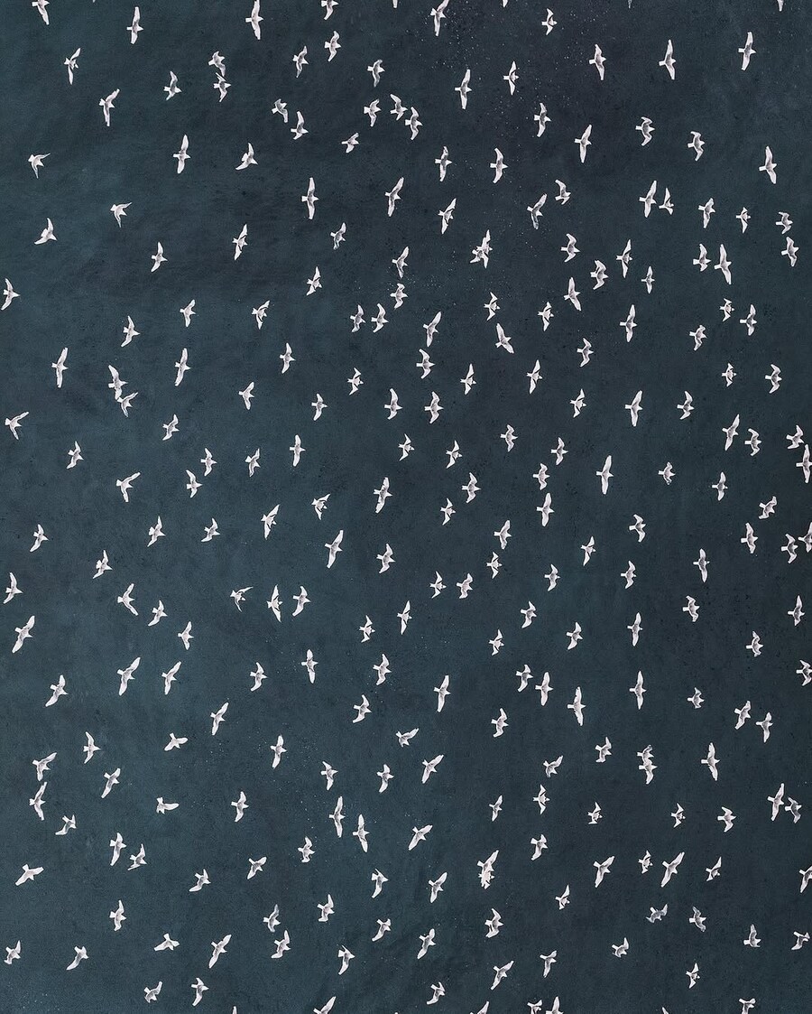 위에서 찍어 본 동물 사진들_9.jpg