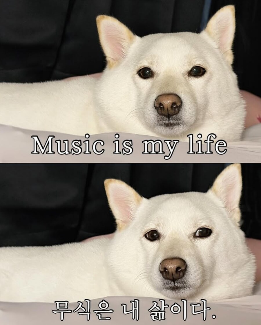 Music is my life_1.png