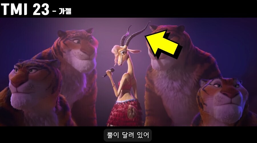 주토피아 가젤 성별의 비밀의 비밀_2.jpg