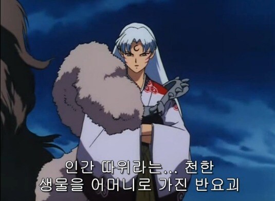 초창기 셋쇼마루 특징.jpg_2.jpg