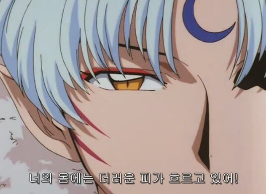 초창기 셋쇼마루 특징.jpg_3.jpg