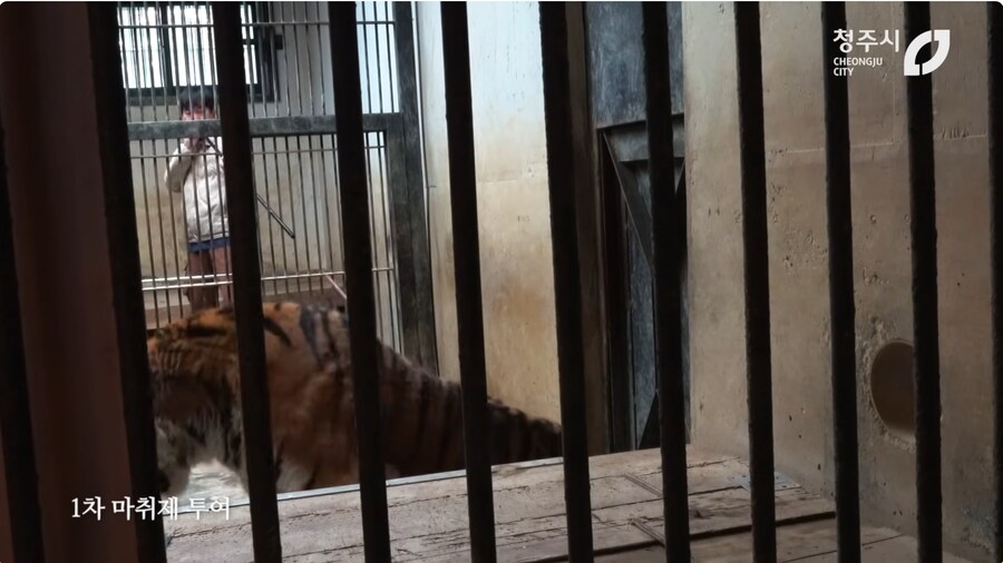 의외로 고난이도인 동물수술_2.png