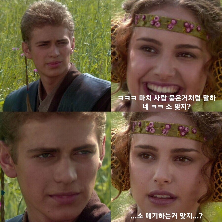 키우는 소가 죽어서 그런데 어떻게 하지?_2.jpg