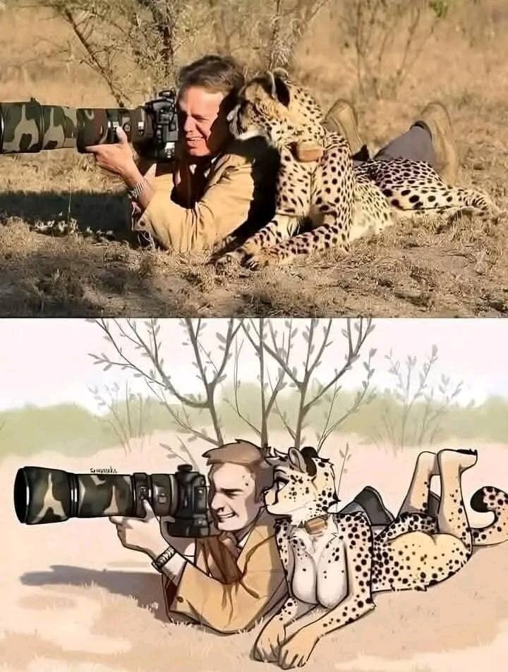 퍼리가 동물 사진을 보는 방법_1.jpg