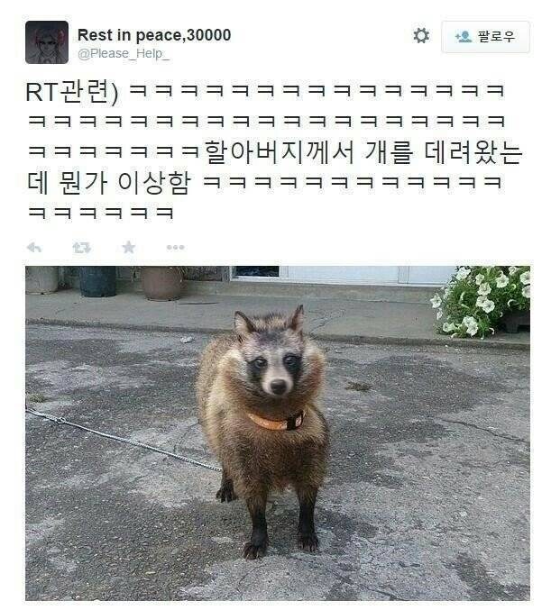 원시고대 비와 너와.jpg_2.jpg