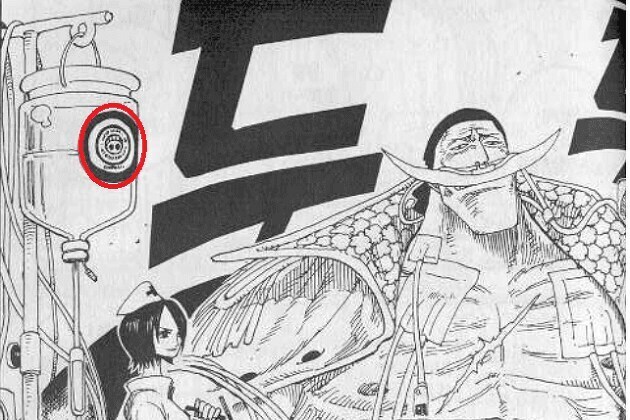 원피스 흰수염이 맞고 있던 수액의 정체_1.jpg