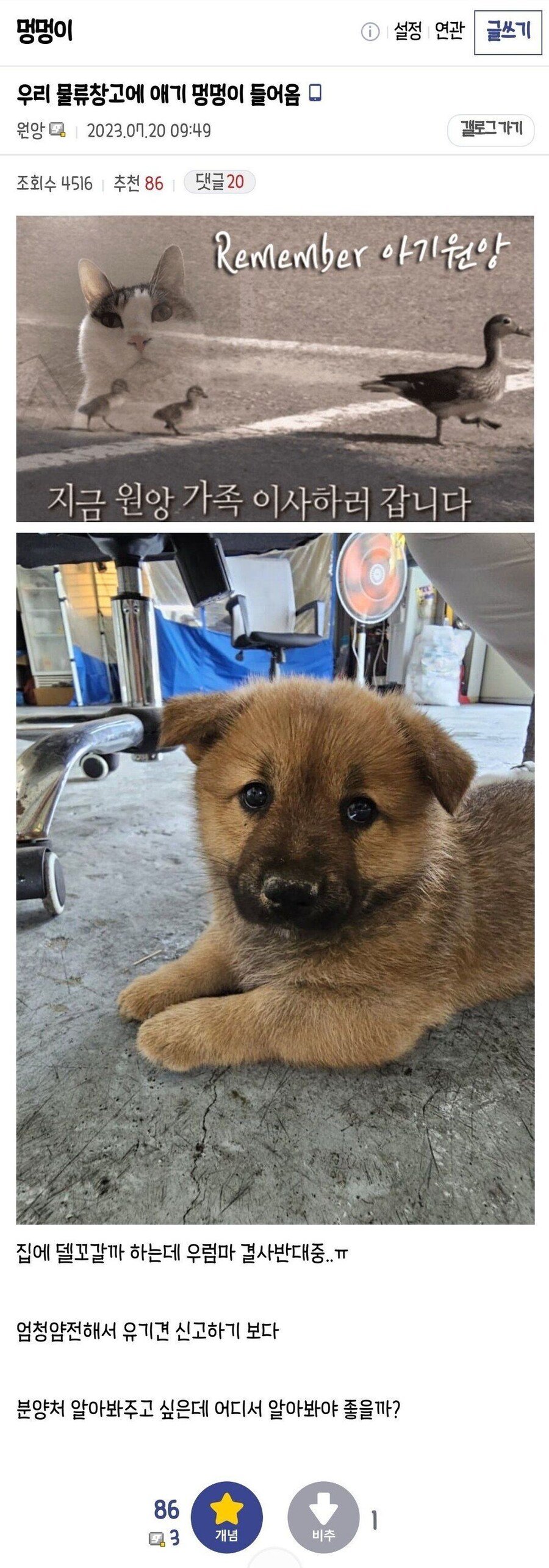 강아지가 행복해지는 과정_1.jpg