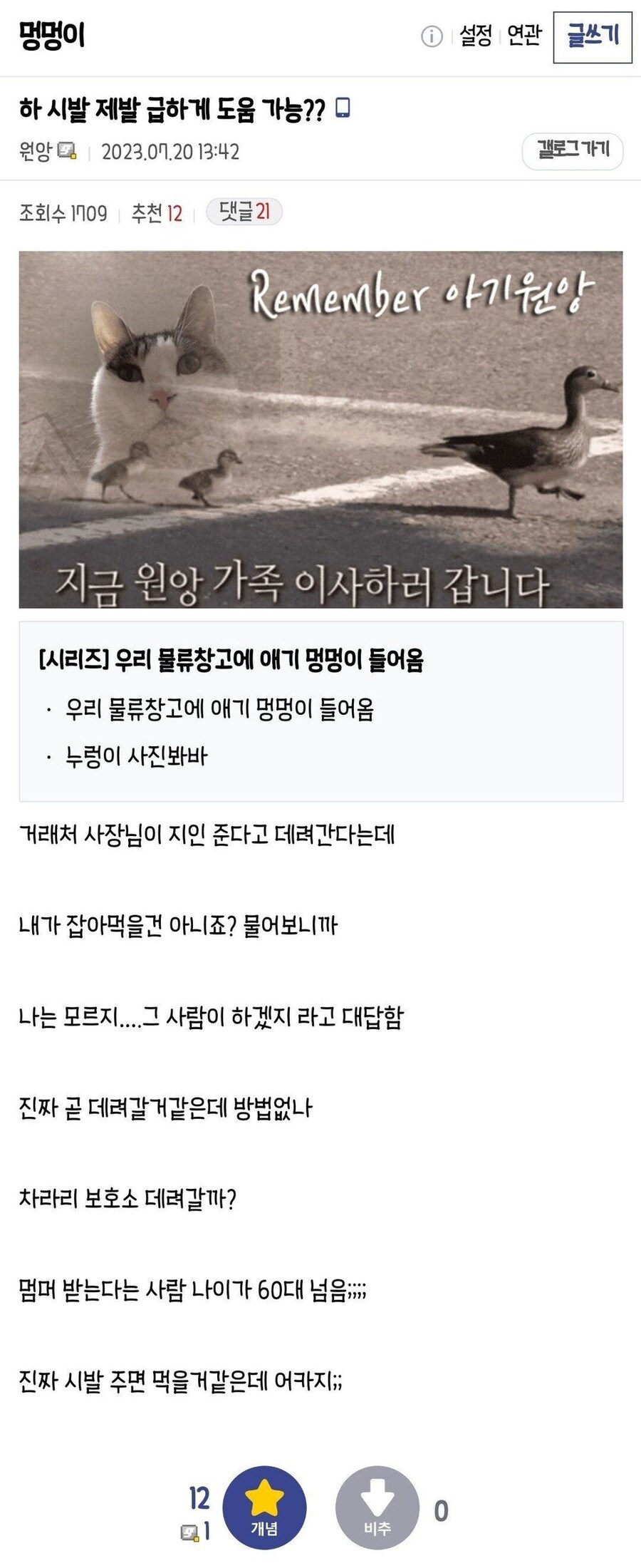 강아지가 행복해지는 과정_3.jpg