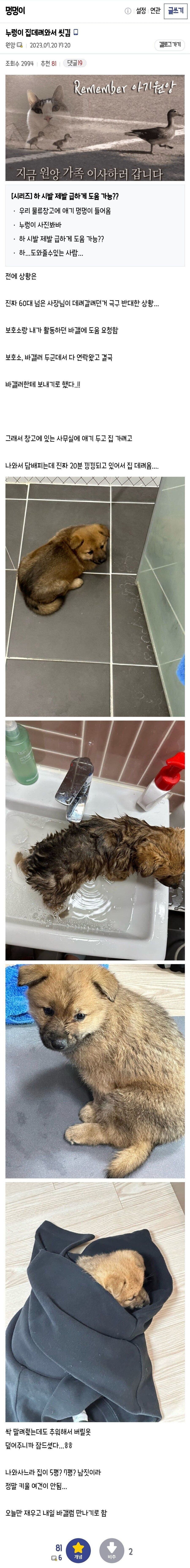 강아지가 행복해지는 과정_4.jpg