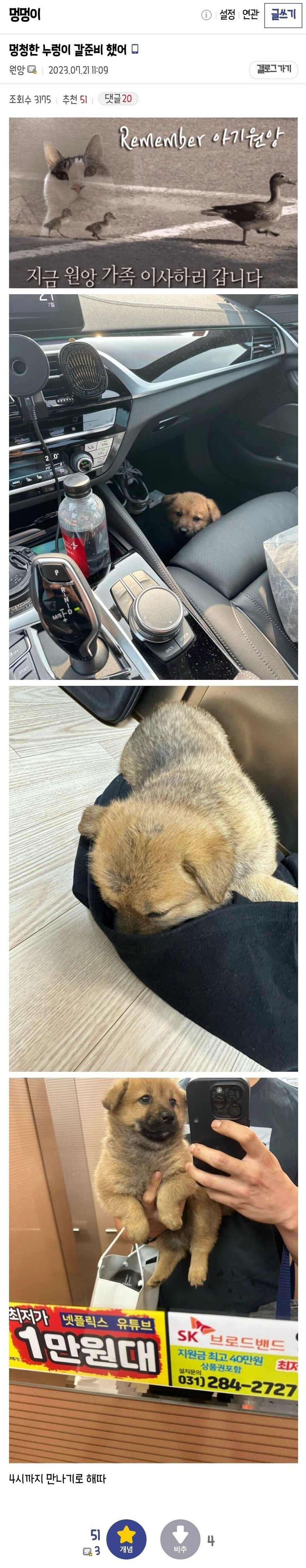 강아지가 행복해지는 과정_5.jpg