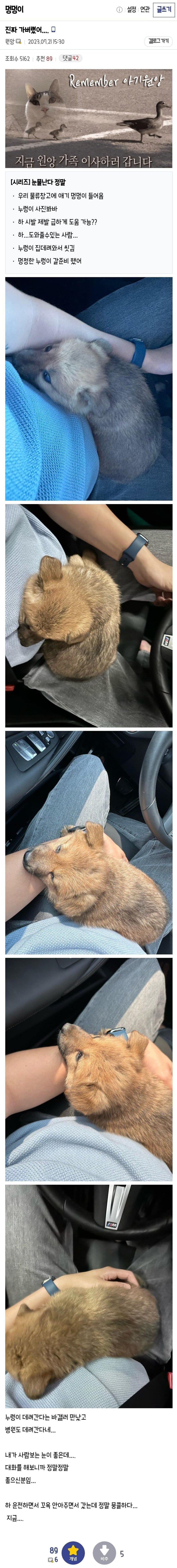 강아지가 행복해지는 과정_6.jpg