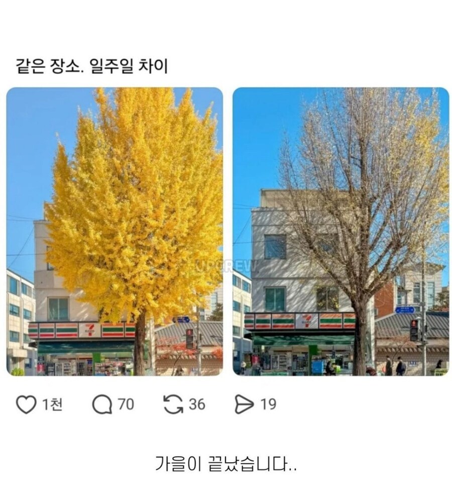 같은 장소 일주일 후.jpg_1.jpg