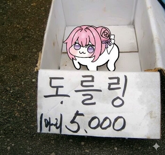 시골 장터에서 흔히 볼 수 있는 도로롱_1.jpg