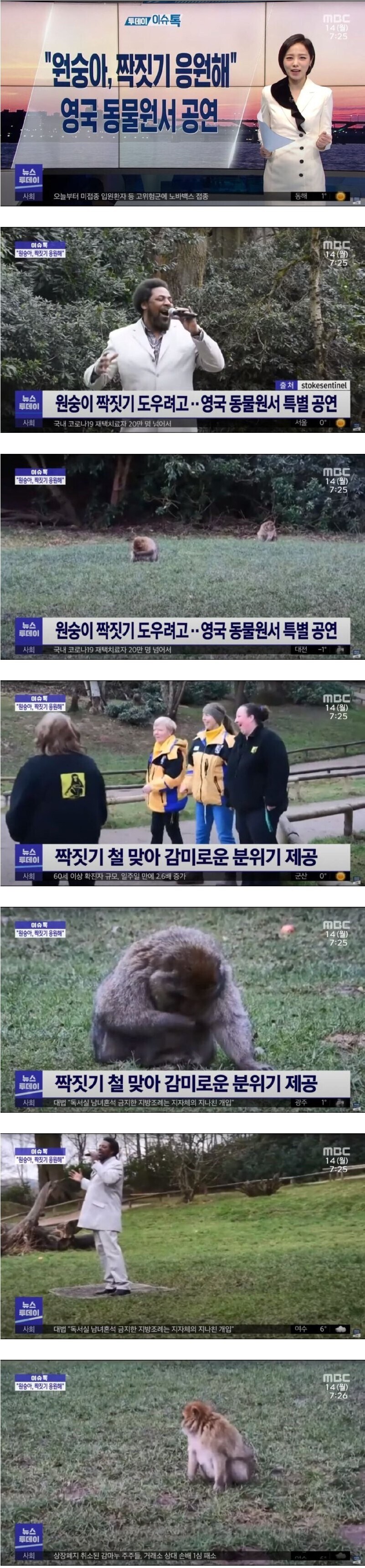 영국 동물원의 짝짓기 응원.jpg_1.jpg