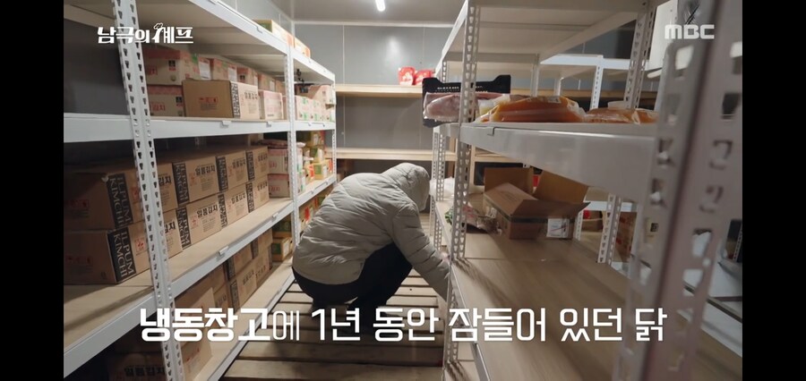 남극의약탈자들 : 이븐하게 해동시킨 냉동닭_7.jpg