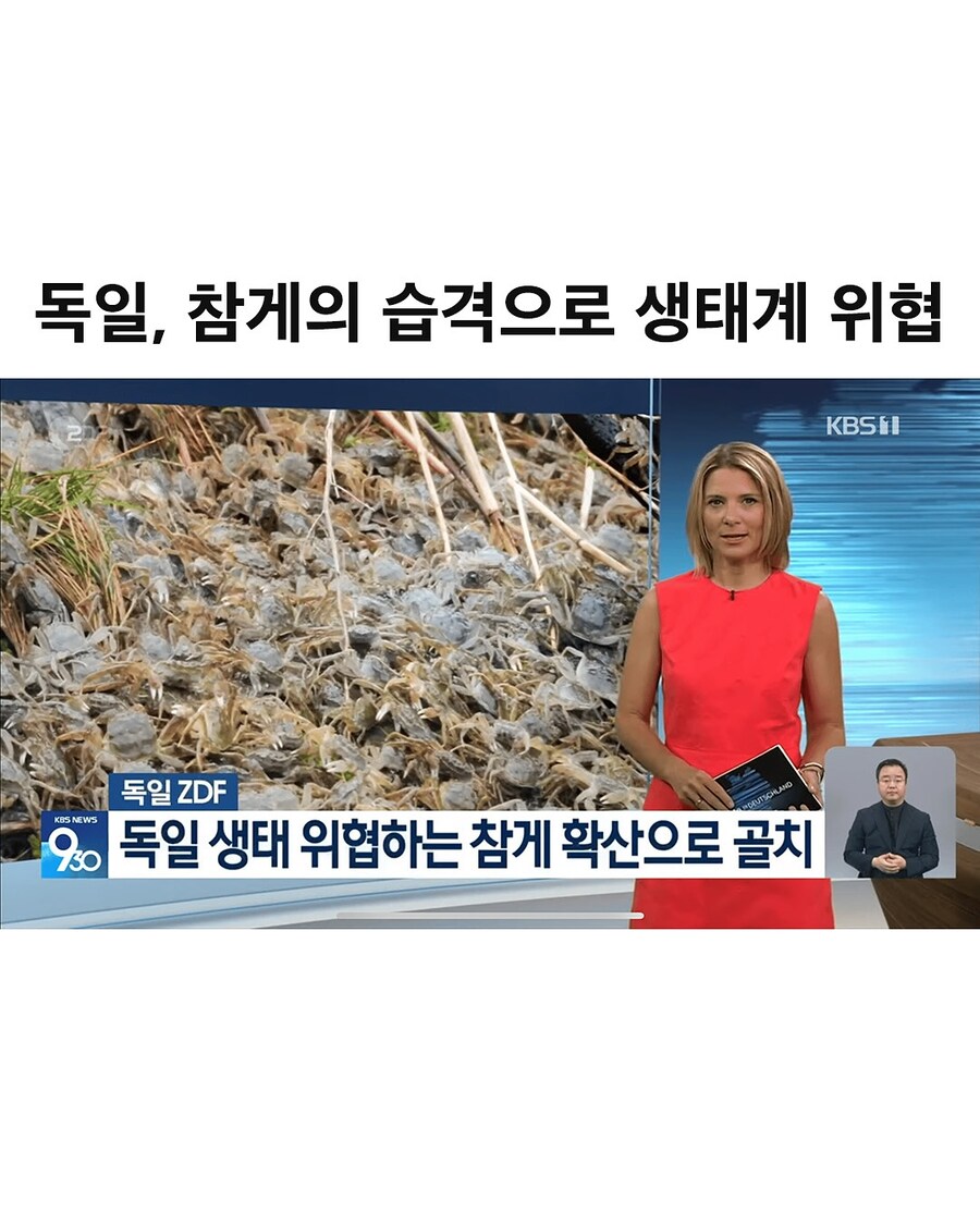 한국은 독일을 도울 준비가 되었습니다._1.jpg