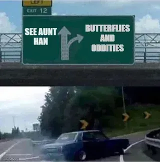 연운) 연운 플레이 한짤 요약_1.webp