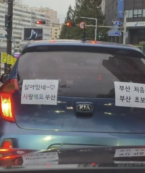 부산 초행길 초보운전.jpg_1.jpg