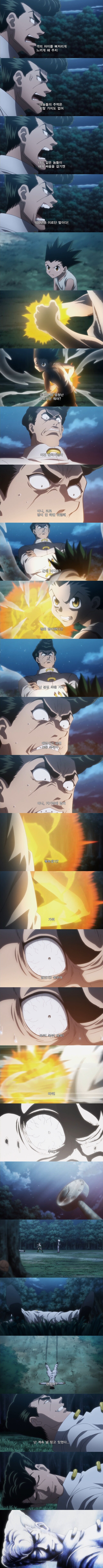 헌터X헌터)뉴비님 맞아줄 테니까 한 번 쳐보세요.jpg_1.jpg