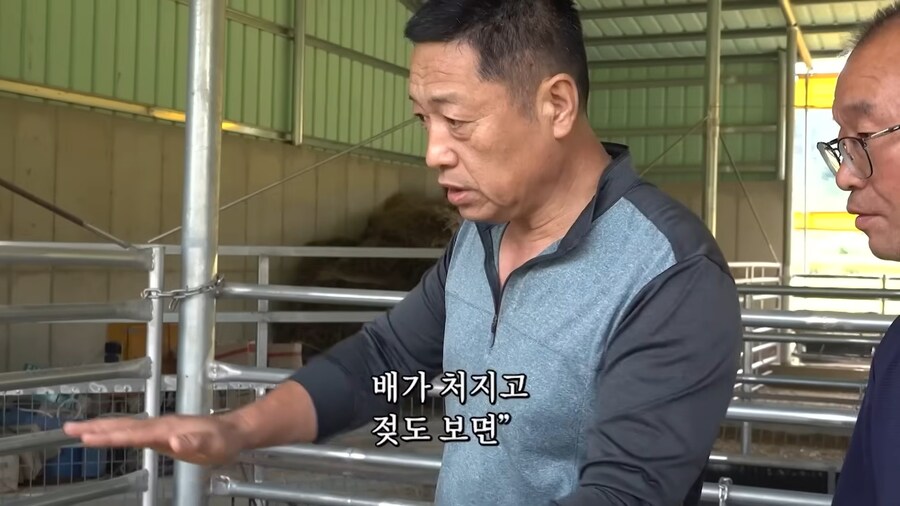 임신한 흑염소의 비밀_2.jpg