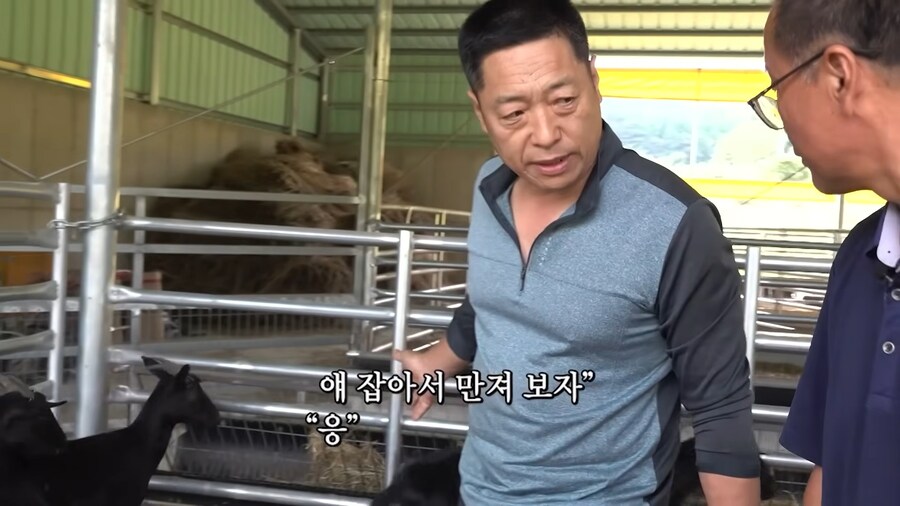 임신한 흑염소의 비밀_4.jpg