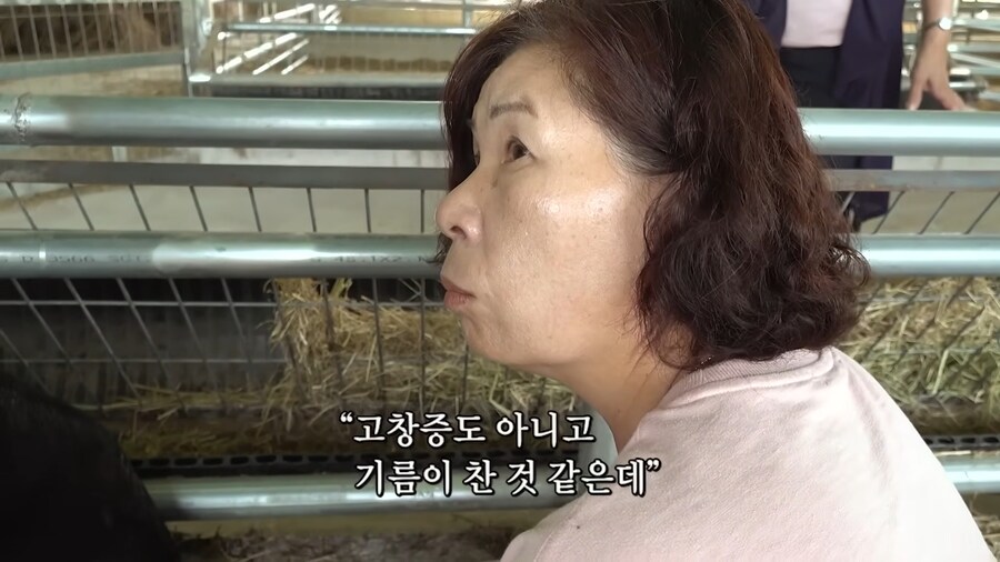 임신한 흑염소의 비밀_10.jpg