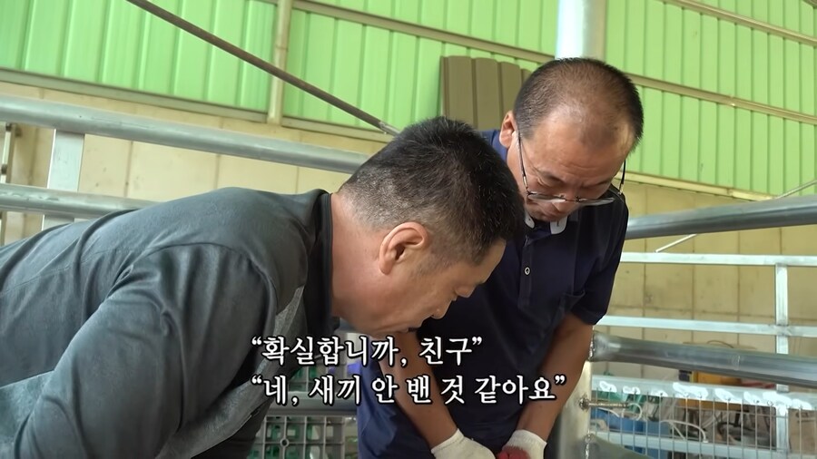 임신한 흑염소의 비밀_13.jpg