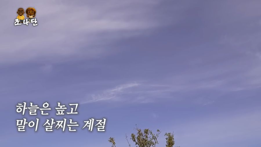 조나단이 여동생과 여행을 떠난 이유_2.png