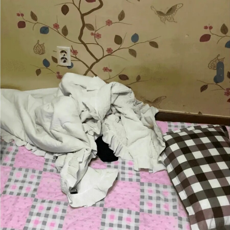 부모가 도망간 고등학생 2학년_4.jpg