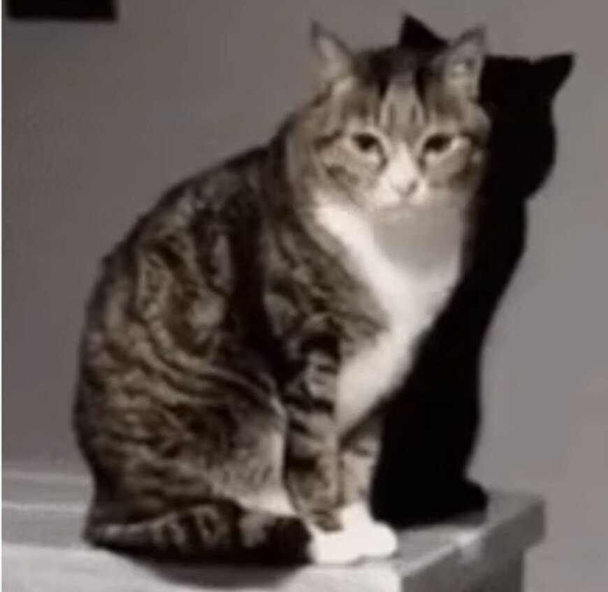 이해하면 무서운 사진_1.jpg