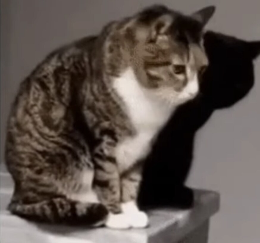 이해하면 무서운 사진_2.jpg