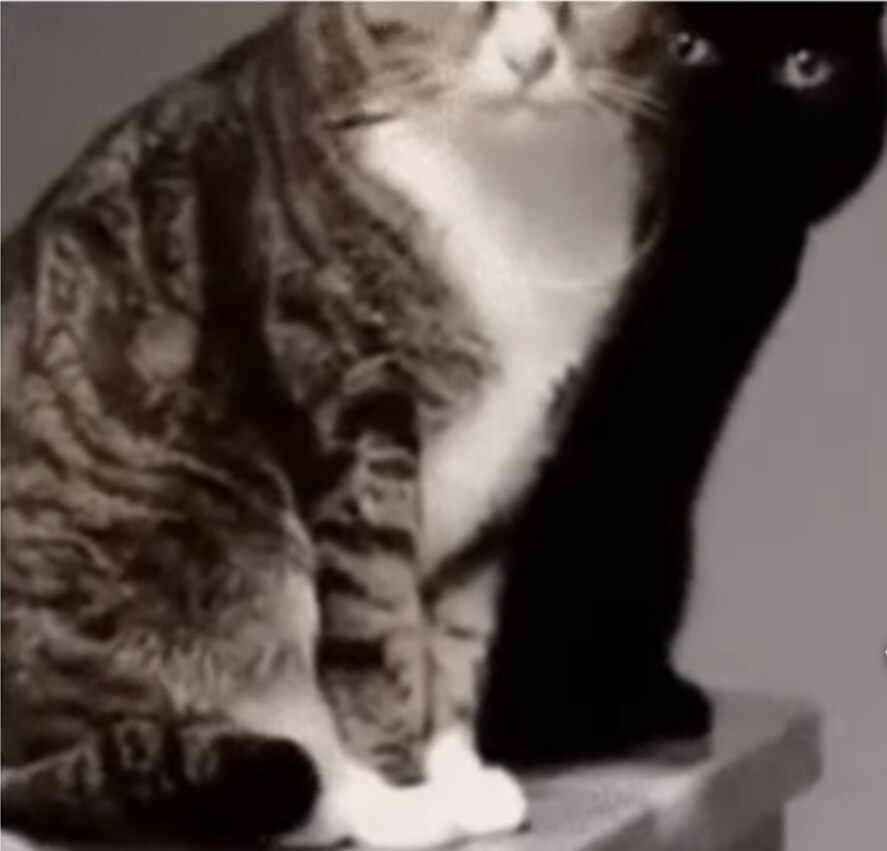 이해하면 무서운 사진_3.jpg