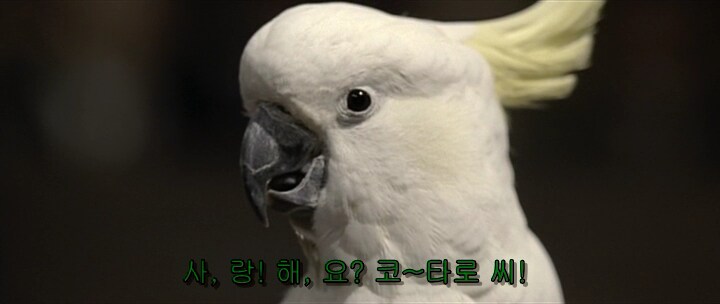 영화 역전재판에서 원작 초월한 장면_2.png