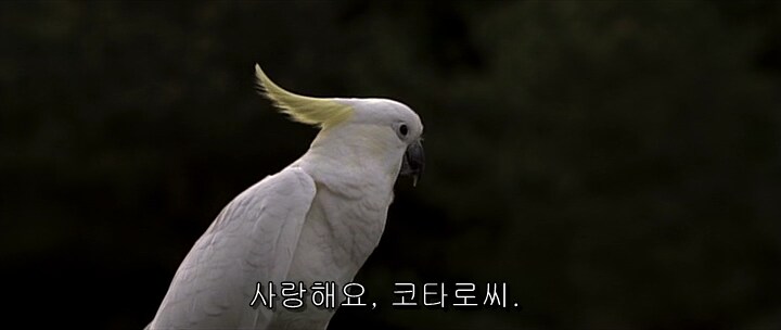 영화 역전재판에서 원작 초월한 장면_50.png