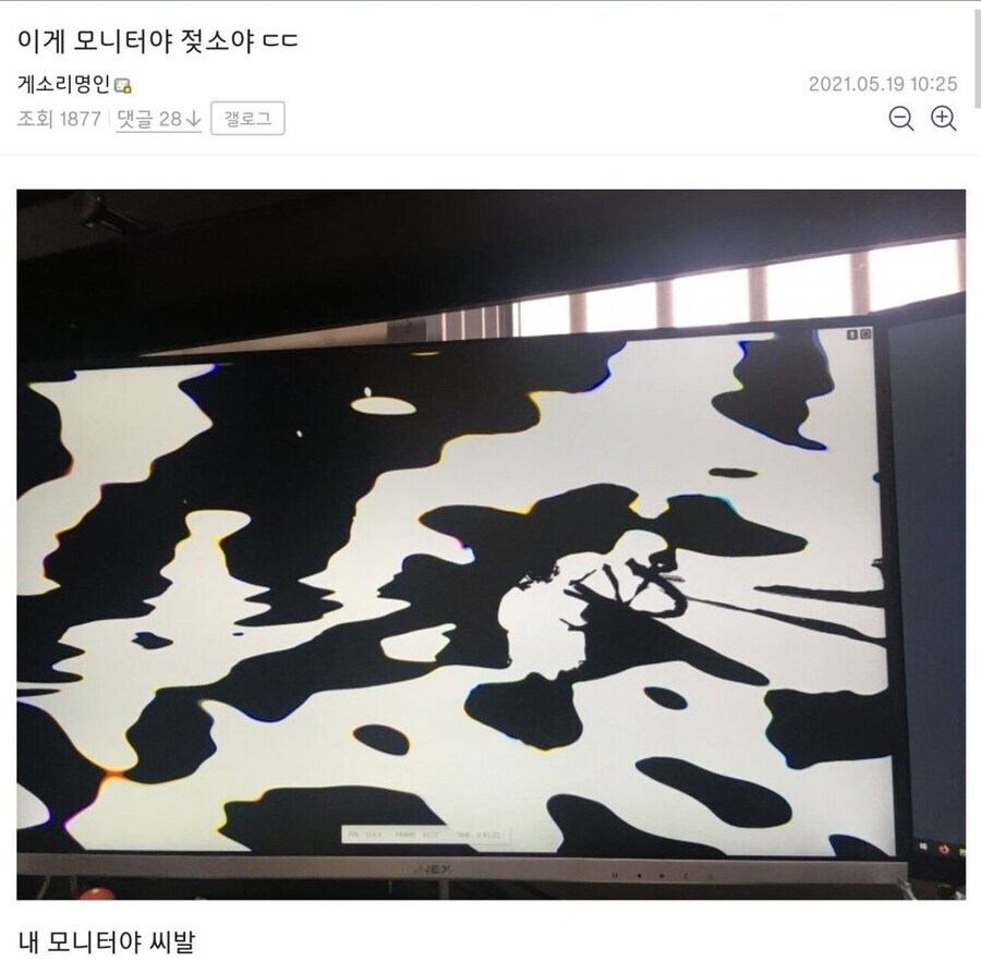 이게 사람이야 젖소야_1.jpg