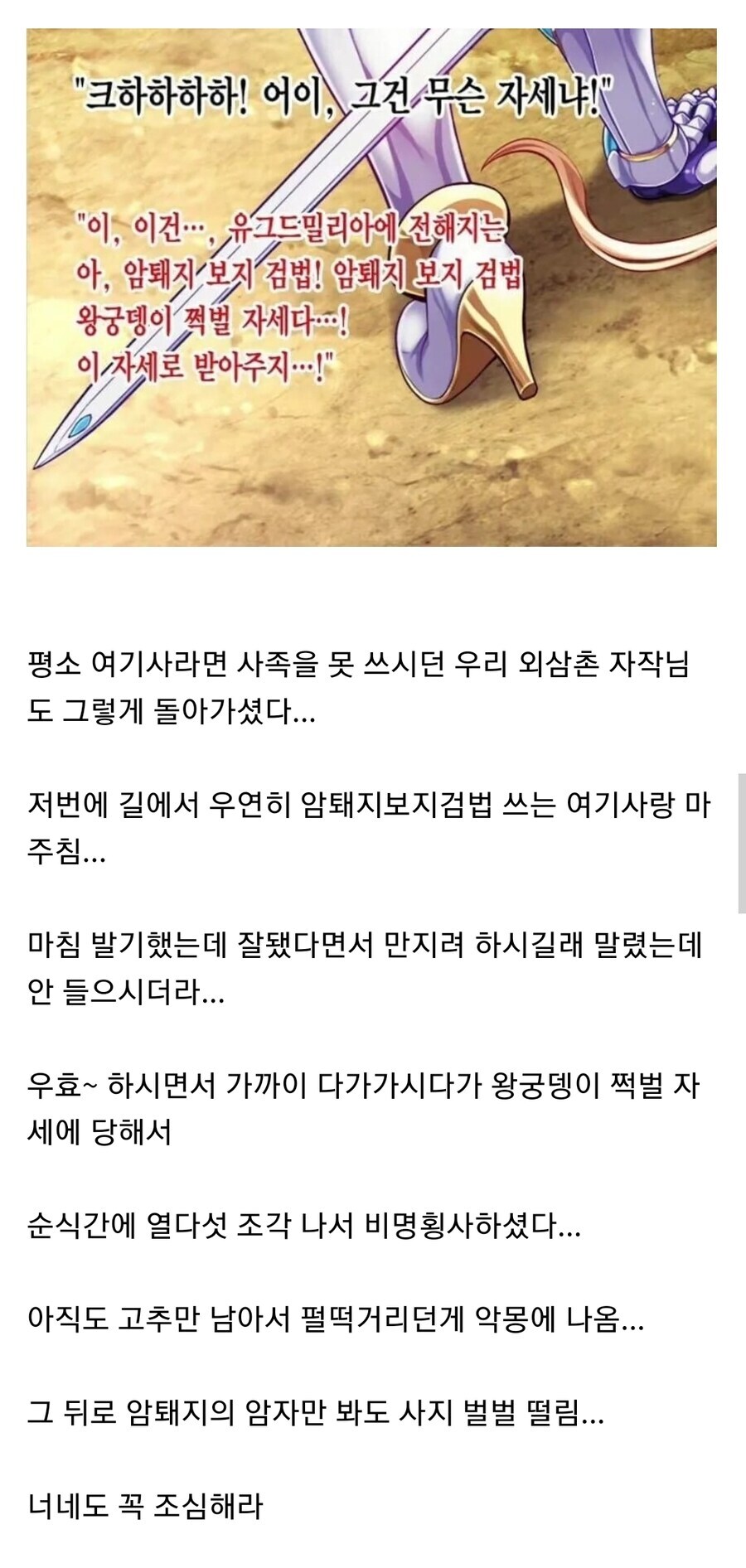 너희는 길가에서 여기사 만나면 제발 도망부터 가라_1.png